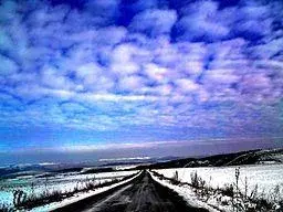 Auto Transport Tips: Planning for the Holidays